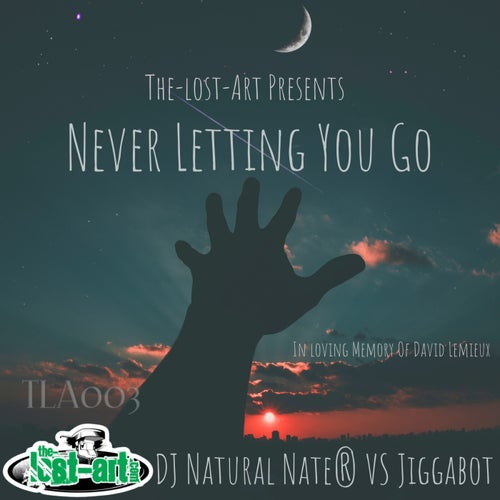 Never Letting You Go (In Loving Memory Of David Lemieux) cover art