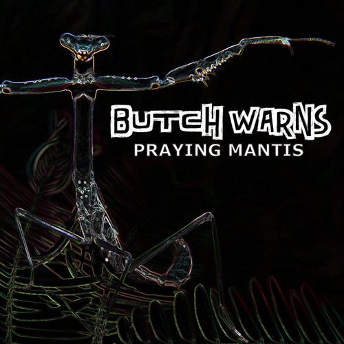 Praying Mantis