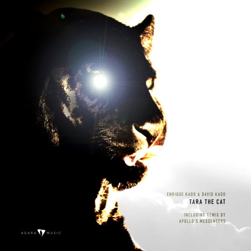 Tara the Cat
