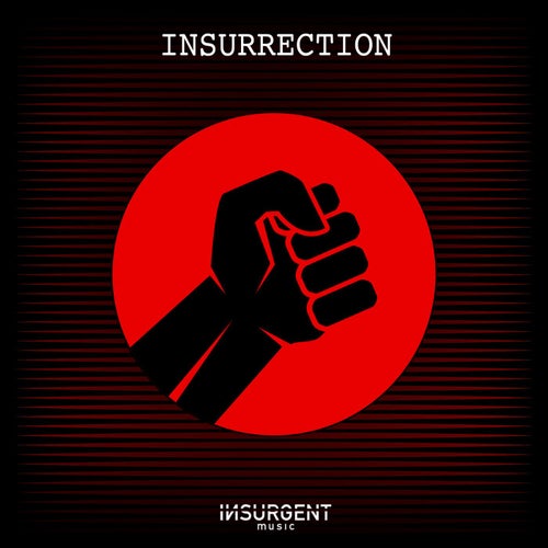 Insurrection