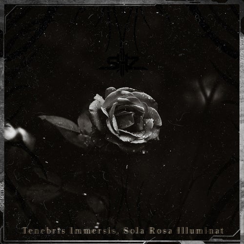 Tenebris Immersis, Sola Rosa Illuminat