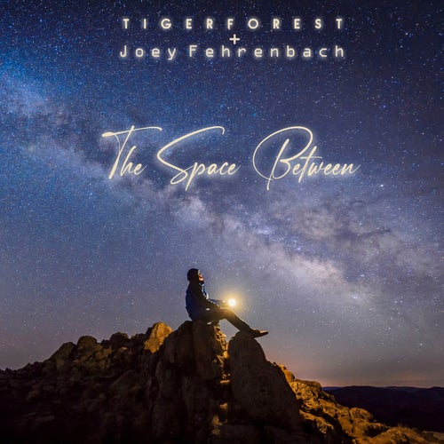The Space Between