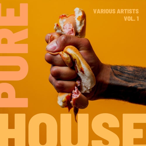 Cover art for Pure House, Vol. 1