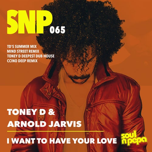 I Want To Have Your Love