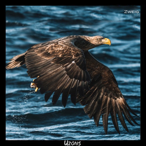 Anima EP