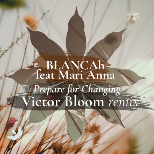 Prepare for Changing (Victor Bloom Remix)