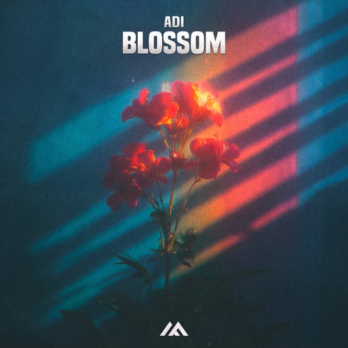 Blossom