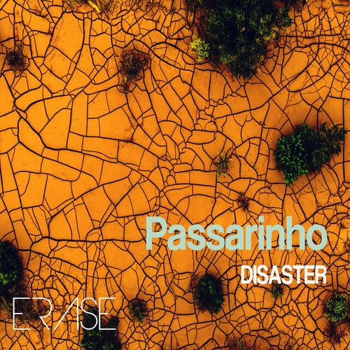 Passarihno