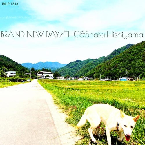 Brand New Day