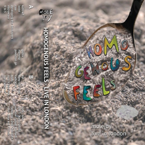 Cover art for Homogenous Feels