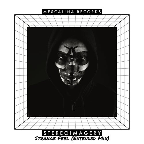 Strange Feel (Extended Mix)