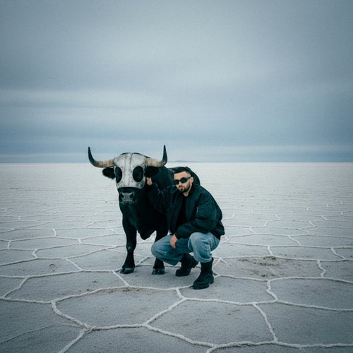 A REE BA (Extended Edit)