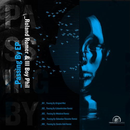 Cover art for Passing By