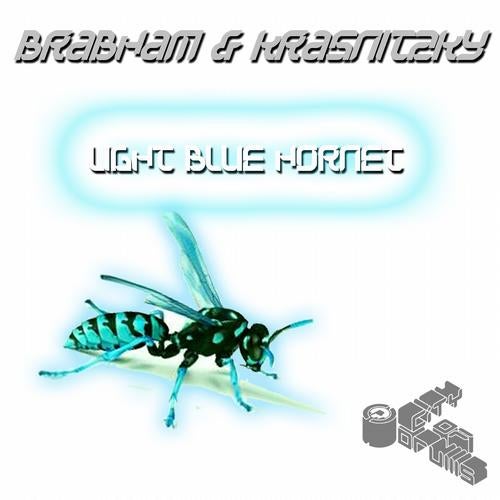 Light Blue Hornet