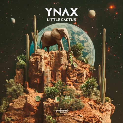  Ynax - Little Cactus (2024) 