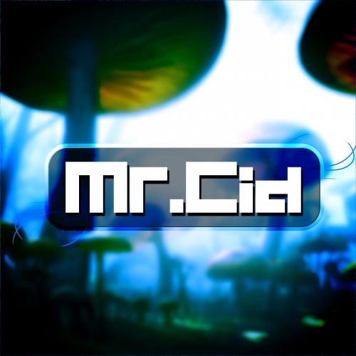 Mr.Cid