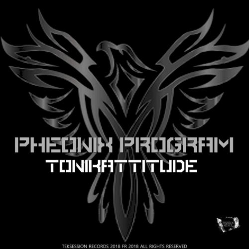 Pheonix Program