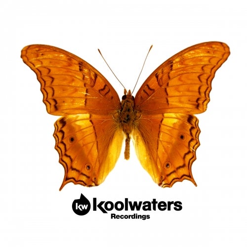 Koolwaters Recordings