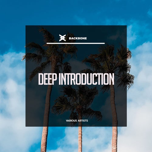 Deep Introduction