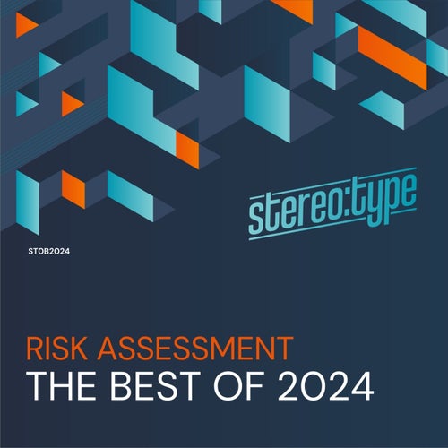 Risk Assessment - The Best Of Stereo_type 2024