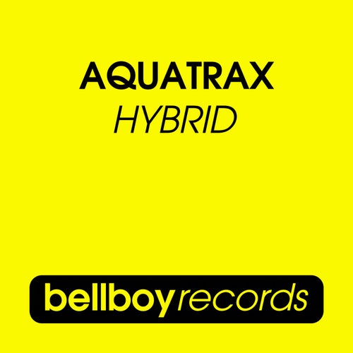 Cover art for Hybrid