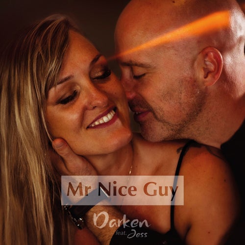 Mr Nice Guy