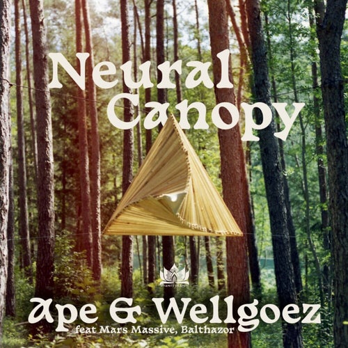 Neural Canopy