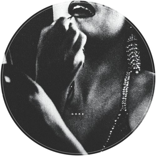 Cover art for GORE