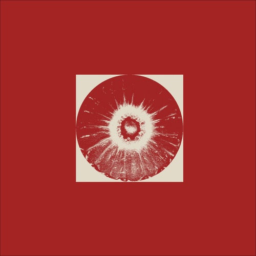 Circular Limited 13 Years Compilation (2025) - Circular Limited