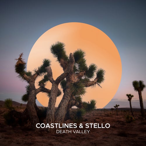 VA - Coastlines & Stello - Death Valley (2024) (MP3)