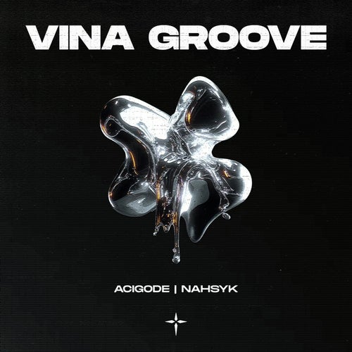 VINA GROOVE