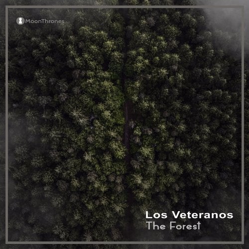 Cover art for The Forest