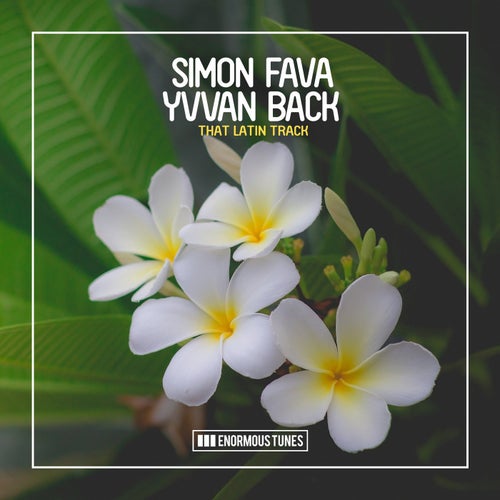 That Latin Track
