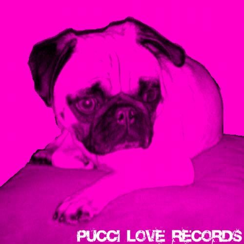 Groovin With Pucci