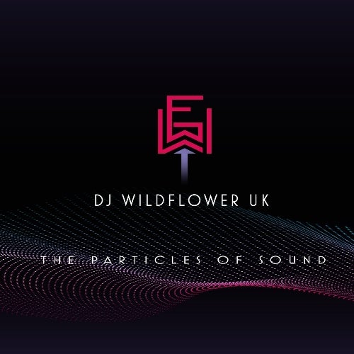 DJ WILDFLOWER UK
