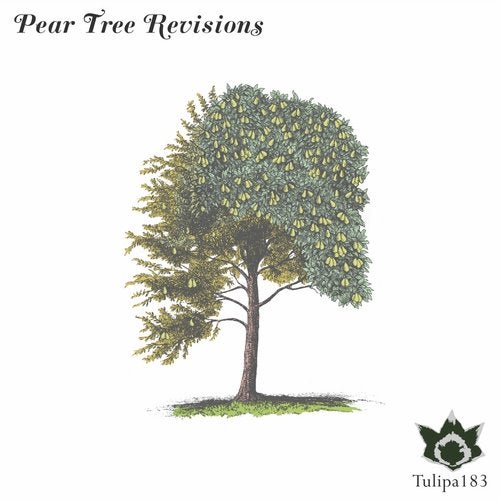 Cover art for Pear Tree Revisions