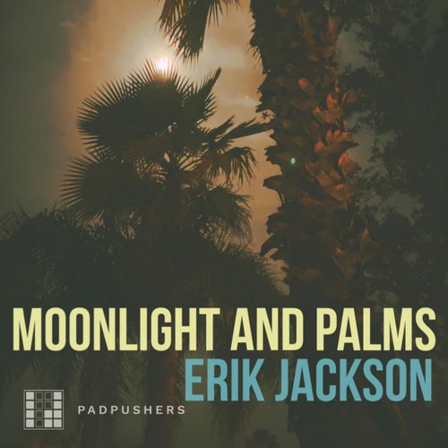 Moonlight and Palms