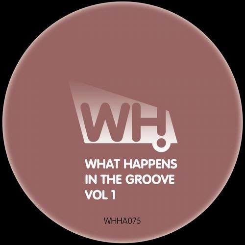 What Happens in the Groove Vol 1