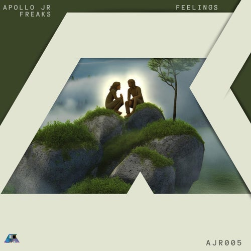 Feelings
