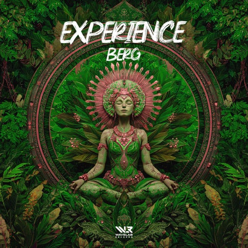 Experience