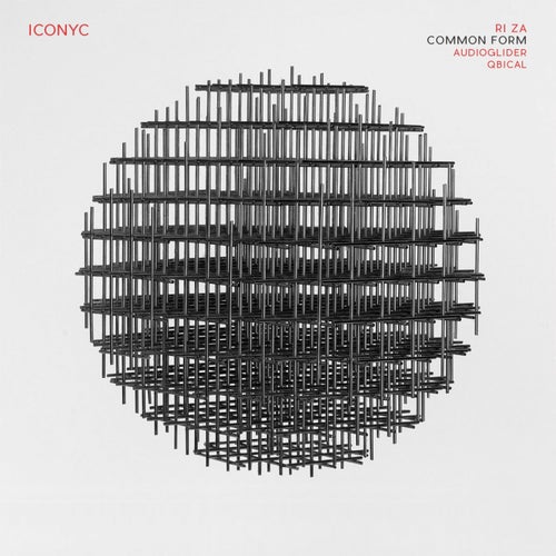 Cover art for Common Form