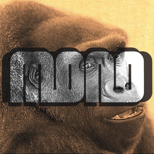 MoNo VII