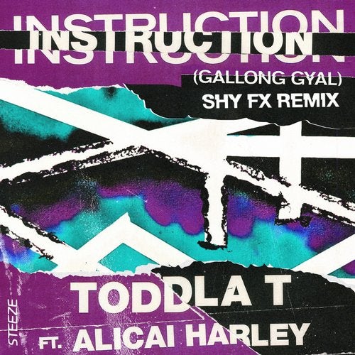 Toddla T - Instruction (feat. Alicai Harley) (Shy FX Remix) 2019 [Single]