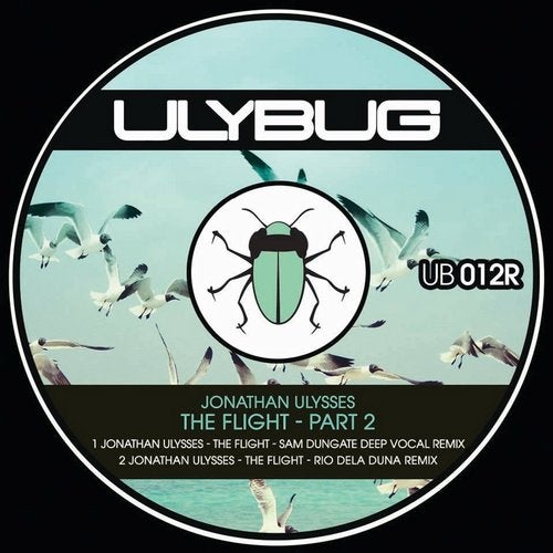 The Flight (Remixes)