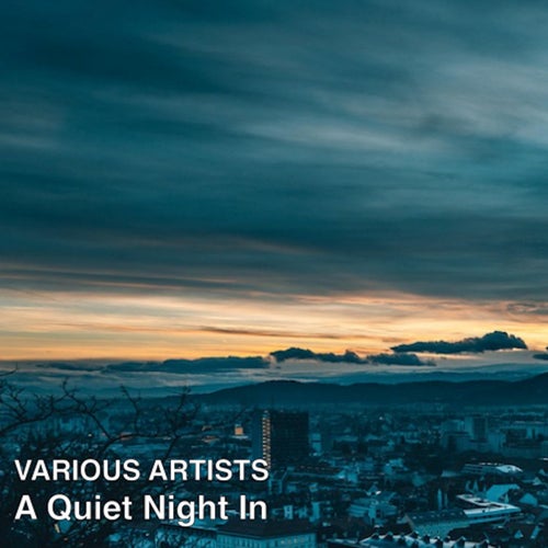 A Quiet Night In