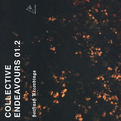 Cover art for Collective Endeavours 01.2