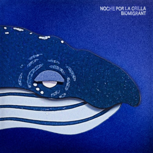 Noche por la Orilla