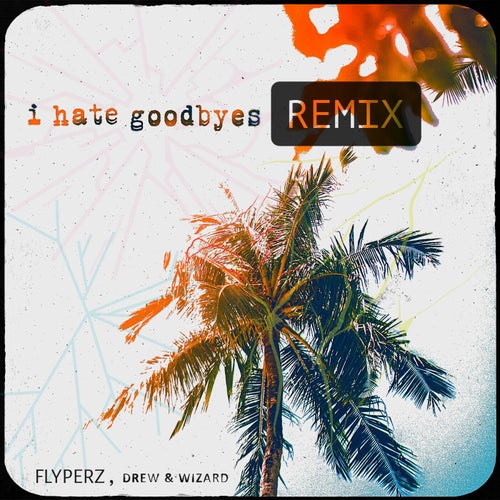 I Hate Goodbyes (Drum & Bass Remix)