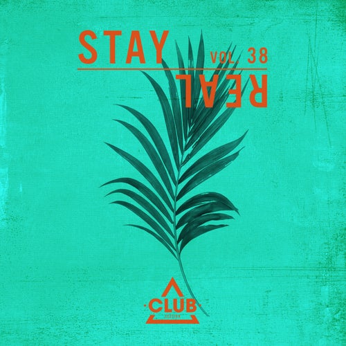 Stay Real, Vol. 38