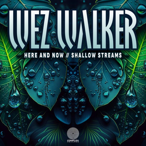 Here And Now // Shallow Streams